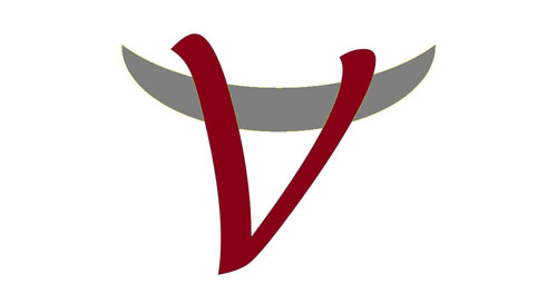 VSF-Sverige